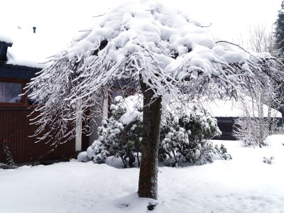 Holiday house Kraft Urlaub für die ganze Familie mit Sauna - Features photo 17