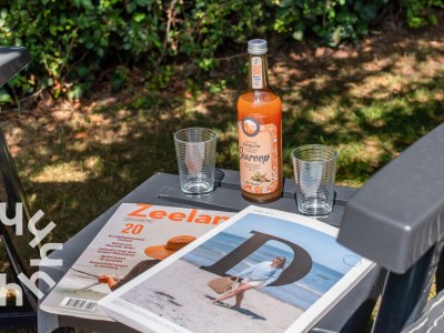 Bungalow Bungalow Zoutelande - ZE281 - Environment photo 27