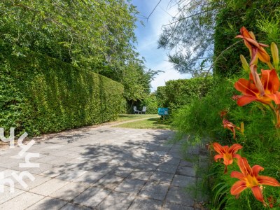 Bungalow Bungalow Zoutelande - ZE281 - Environment photo 29