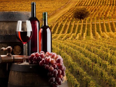 Villa Lovely Home inclusive pool - Environment photo 18