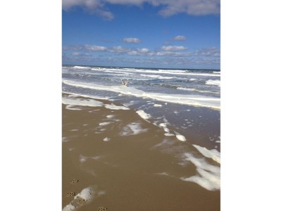 Holiday apartment Birgit Klasen Mobile Home - Environment photo 17