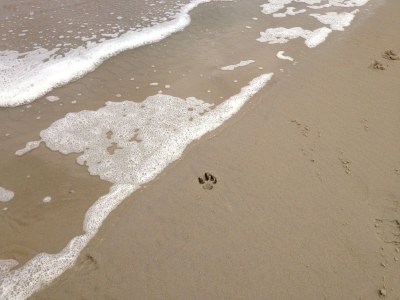 Holiday apartment Birgit Klasen Mobile Home - Environment photo 18