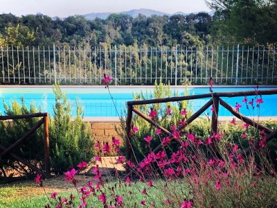 Holiday apartment Podere L'Orsinghi, apartment B - Outdoor photo 8