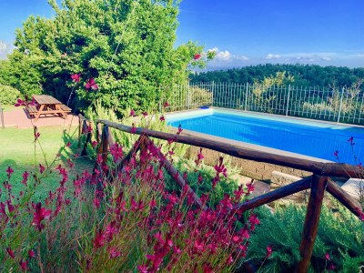 Holiday apartment Podere L'Orsinghi, apartment B - Outdoor photo 9