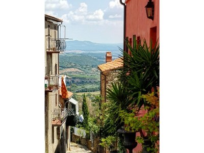 Holiday apartment Podere L'Orsinghi, apartment B - Outdoor photo 12