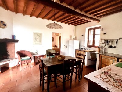 Holiday apartment Podere L'Orsinghi, apartment B - Features photo 21