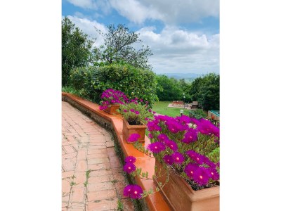 Holiday apartment Podere L'Orsinghi, apartment B - Features photo 25