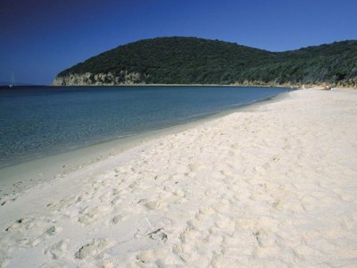 Holiday apartment Podere L'Orsinghi, apartment B - Environment photo 31