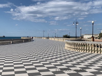 Holiday apartment Podere L'Orsinghi, apartment B - Environment photo 34