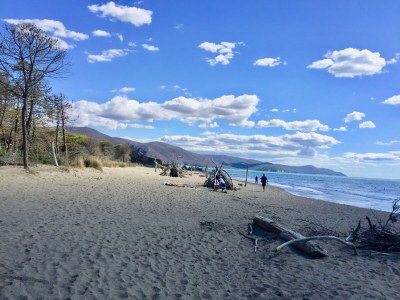 Holiday apartment Podere L'Orsinghi, apartment B - Environment photo 36