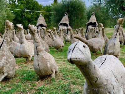 Holiday apartment Podere L'Orsinghi, apartment B - Environment photo 40