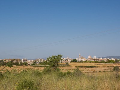 Villa Fernando - Environment photo 27