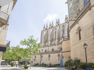 Villa Fernando - Environment photo 28