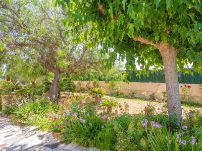 Villa Fernando - Outdoor photo 44