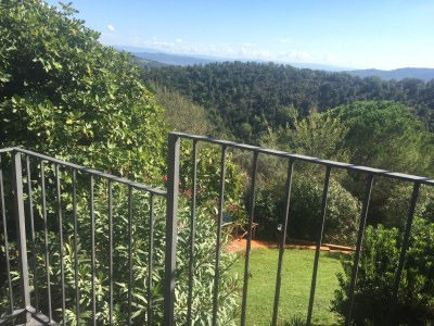 Holiday apartment Podere L'Orsinghi Wohnung C - Outdoor photo 5