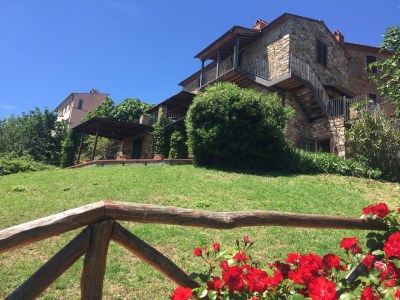 Holiday apartment Podere L'Orsinghi Wohnung C - Outdoor photo 6