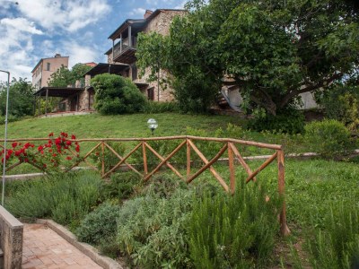 Holiday apartment Podere L'Orsinghi Wohnung C - Outdoor photo 7