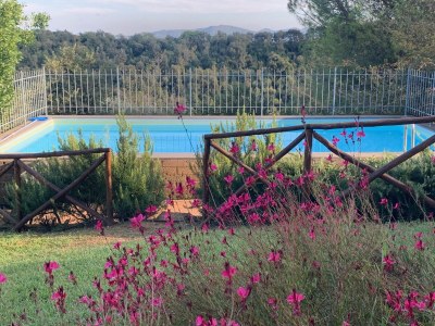 Holiday apartment Podere L'Orsinghi Wohnung C - Outdoor photo 13