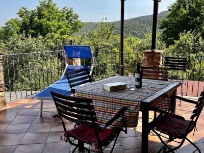 Holiday apartment Podere L'Orsinghi Wohnung C - Outdoor photo 15