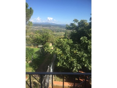 Holiday apartment Podere L'Orsinghi Wohnung C - Features photo 31