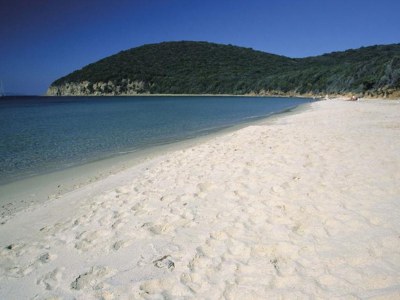 Holiday apartment Podere L'Orsinghi Wohnung C - Environment photo 33