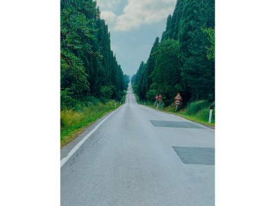 Holiday apartment Podere L'Orsinghi Wohnung C - Environment photo 36