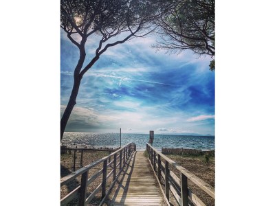 Holiday apartment Podere L'Orsinghi Wohnung C - Environment photo 38