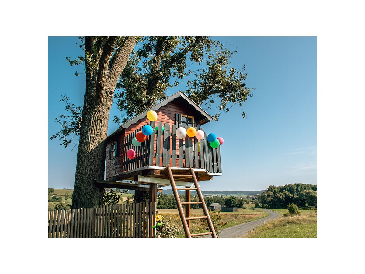 Holiday house Holzhaus - Outdoor photo 4