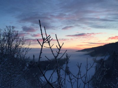 Holiday house Holzhaus - Environment photo 36