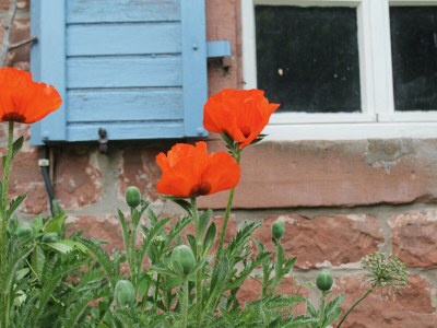 Holiday house Project Elmstein - Outdoor photo 6