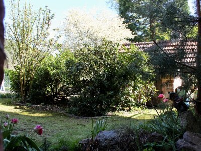 Holiday house Project Elmstein - Outdoor photo 7