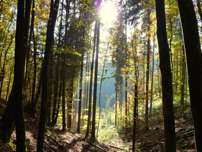 Holiday house Project Elmstein - Environment photo 18