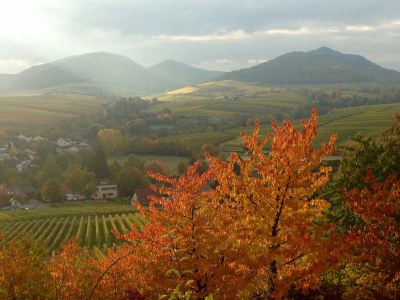 Holiday house Project Elmstein - Environment photo 20