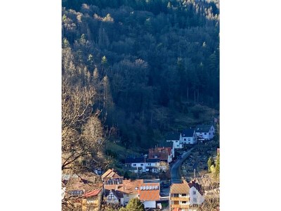 Holiday house Project Elmstein - Environment photo 22