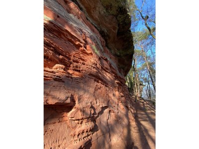 Holiday house Project Elmstein - Environment photo 23