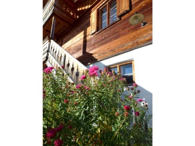 Holiday apartment Das Bergjuwel. - Outdoor photo 4