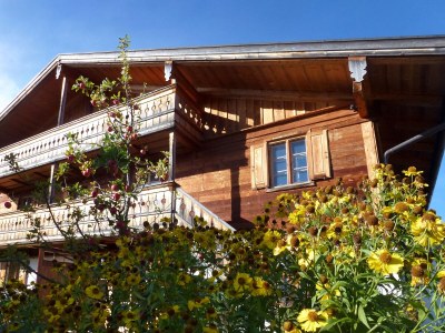 Holiday apartment Das Bergjuwel. - Outdoor photo 7