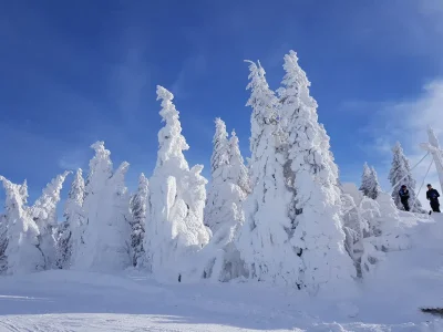 Holiday apartment Fesl 2 - Document photo 25