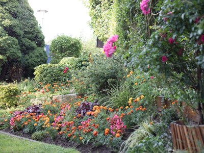 Holiday apartment Guest-house and apartment Weber - Outdoor photo 10