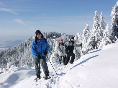 Holiday apartment Guest-house and apartment Weber - Environment photo 35