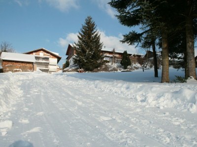 Holiday apartment Guest-house and apartment Weber - Environment photo 36