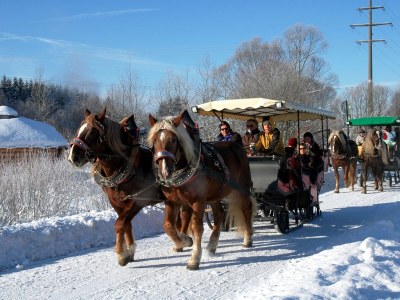 Holiday apartment Guest-house and apartment Weber - Environment photo 38