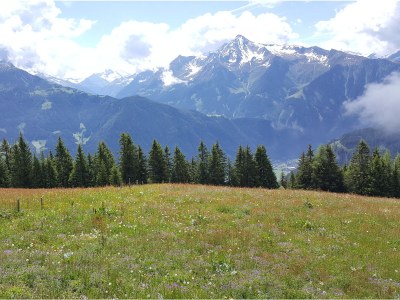 Alpine hut Ahornblick - Outdoor photo 9