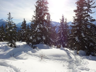 Alpine hut Ahornblick - Environment photo 33
