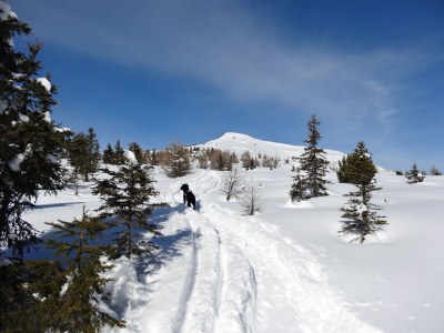 Alpine hut Ahornblick - Environment photo 34