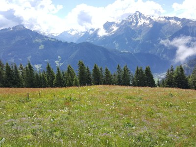 Alpine hut Ahornblick - Document photo 36