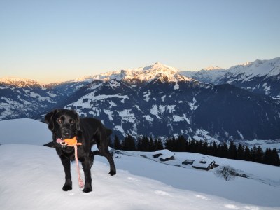 Alpine hut Ahornblick - Document photo 37