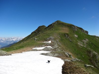 Alpine hut Ahornblick - Document photo 39