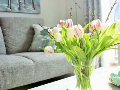 Holiday house Sonnenstübchen - Features photo 20