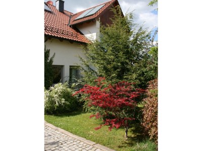 Holiday house Liliensteinblick - Outdoor photo 3